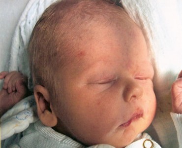 Henri - August 2006