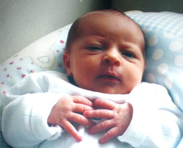 Maya - Dezember 2008
