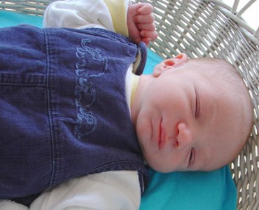 Raphael - Dezember 2008