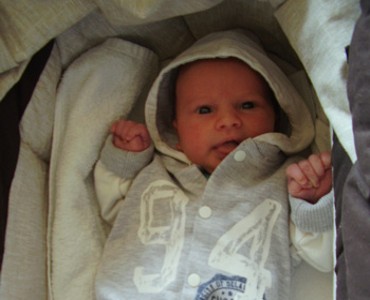 Noah - März 2012