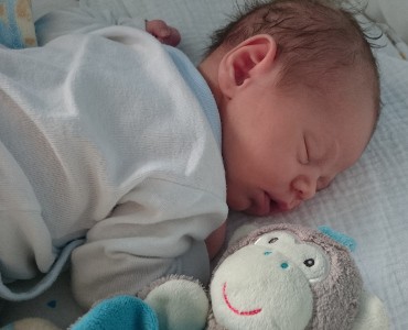 Vincent - April 2016