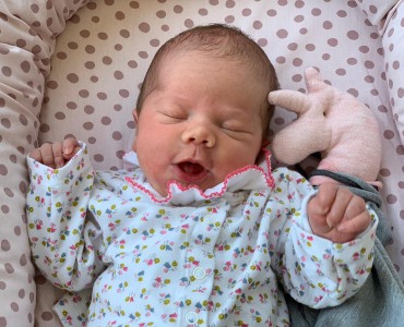 Mona - April 2019