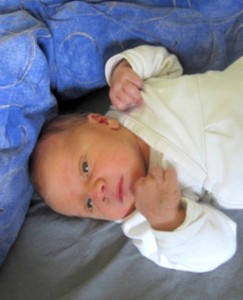 Luan - Juli 2019