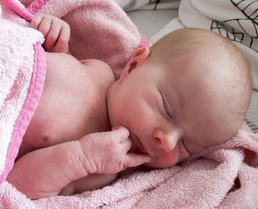 Neele - August 2019